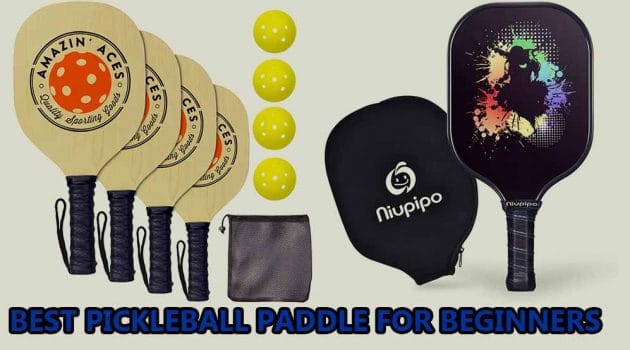Best Pickleball Paddle For Beginners Reviews