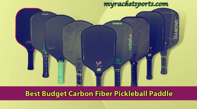 Best Budget Carbon Fiber Pickleball Paddle