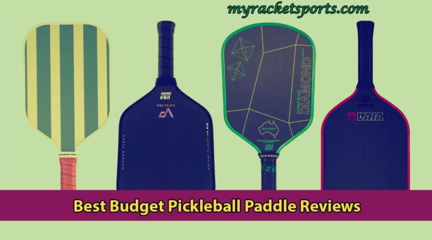 Best Budget Pickleball Paddle Reviews