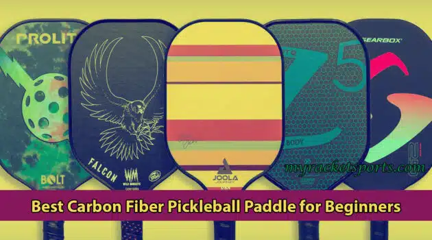 Best Carbon Fiber Pickleball Paddle for Beginners