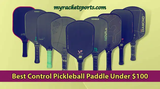 Best Control Pickleball Paddle Under $100