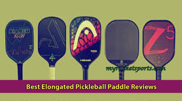 Best Elongated Pickleball Paddle Reviews