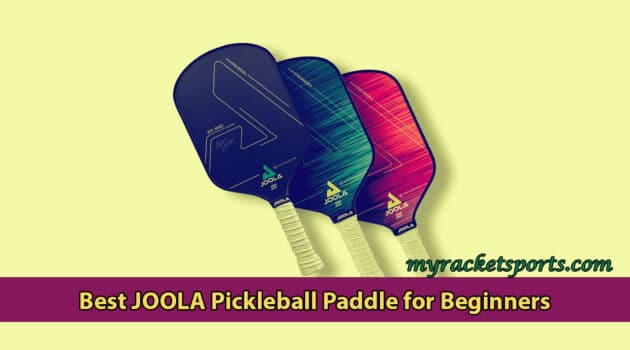 Best JOOLA Pickleball Paddle for Beginners