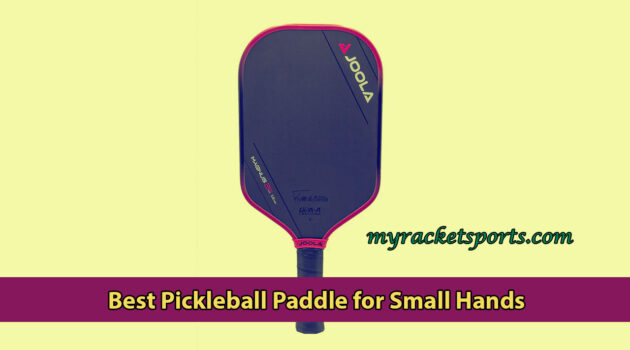 Best Pickleball Paddle for Small Hands