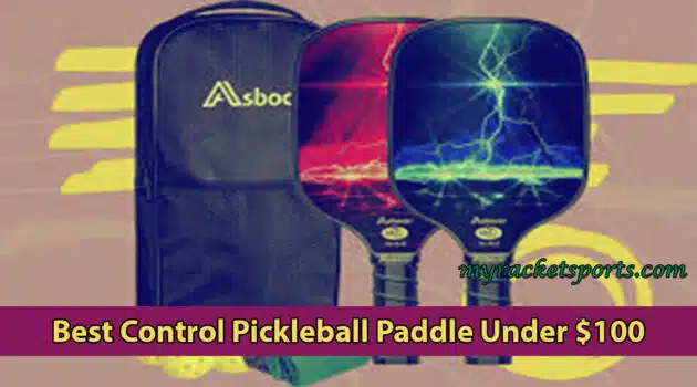 Best Pickleball Paddles Under $30