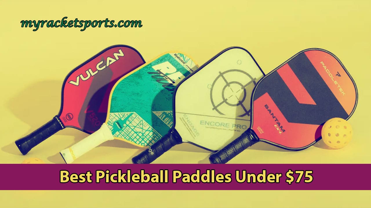 Best Pickleball Paddles Under 75