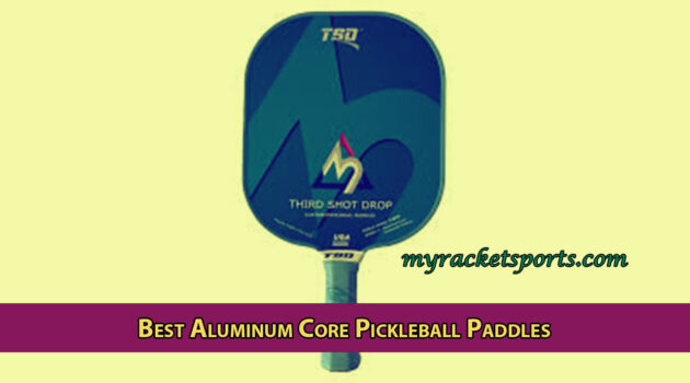 Best Aluminum Core Pickleball Paddles