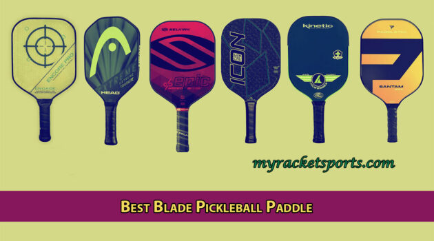 Best Blade Pickleball Paddle