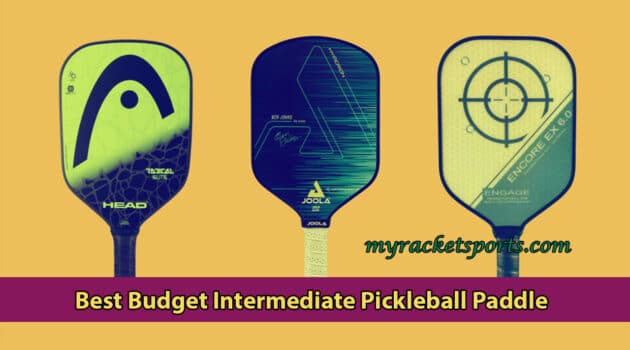 Best Budget Intermediate Pickleball Paddle