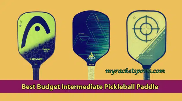 Best Budget Intermediate Pickleball Paddle