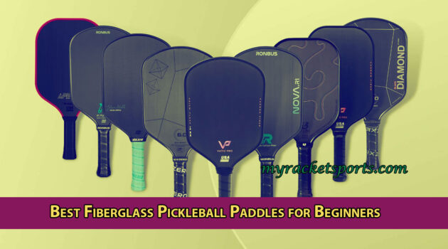Best Fiberglass Pickleball Paddles for Beginners