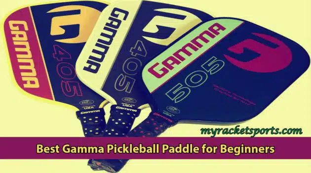Best Gamma Pickleball Paddle for Beginners