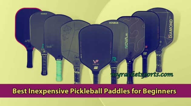 Best Inexpensive Pickleball Paddles for Beginners