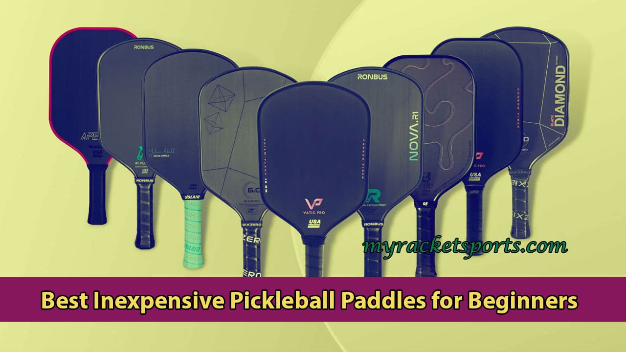 Best Inexpensive Pickleball Paddles for Beginners