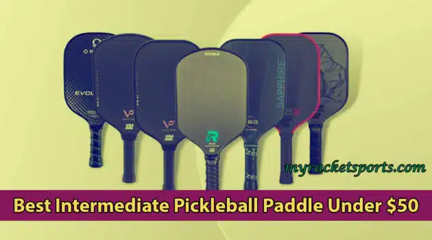 Best Intermediate Pickleball Paddle Under $50