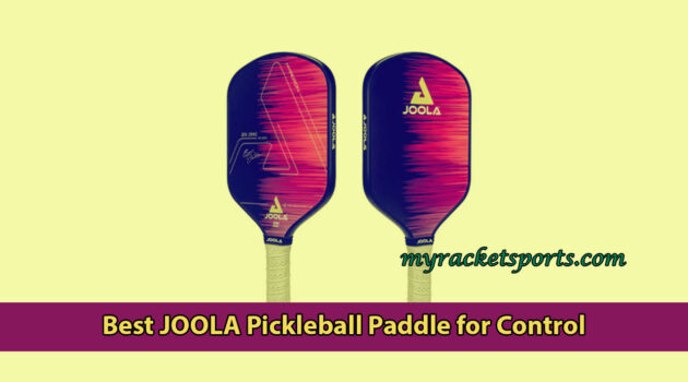 Best JOOLA Pickleball Paddle for Control