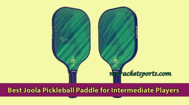 Best Joola Pickleball Paddle for Intermediate Players