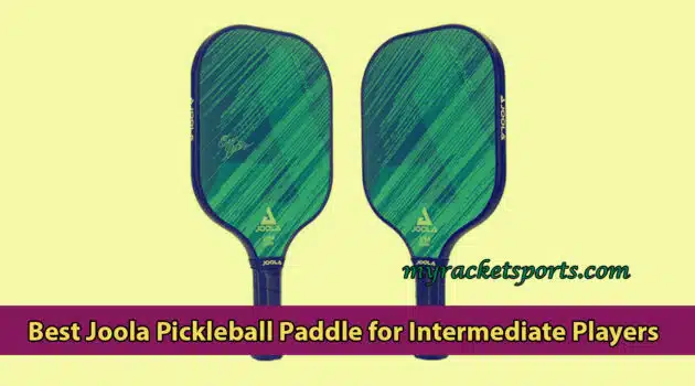 Best Joola Pickleball Paddle for Intermediate Players
