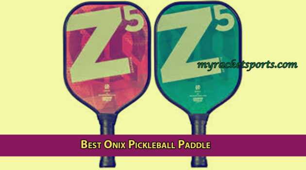 Best Onix Pickleball Paddle for Beginner Reviews