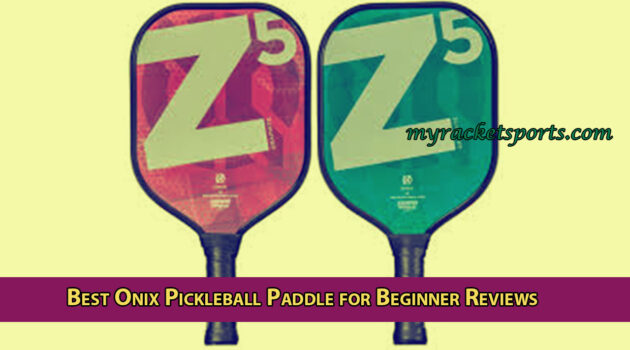 Best Onix Pickleball Paddle for Beginner Reviews