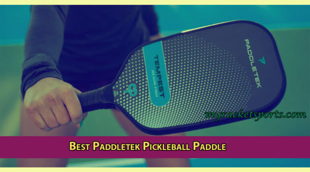 Best Paddletek Pickleball Paddle for Beginners