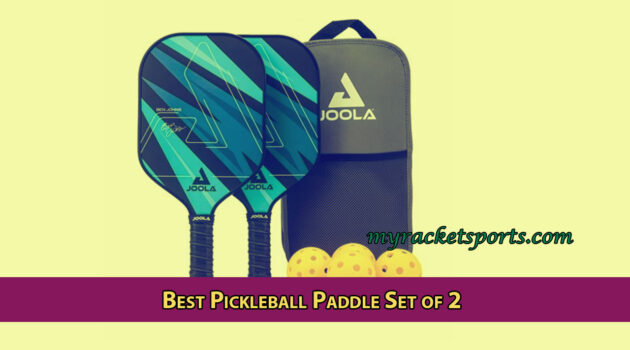Best Pickleball Paddle Set of 2