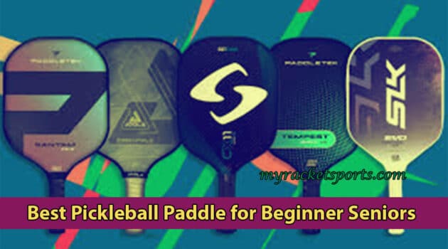 Best Pickleball Paddle for Beginner Seniors