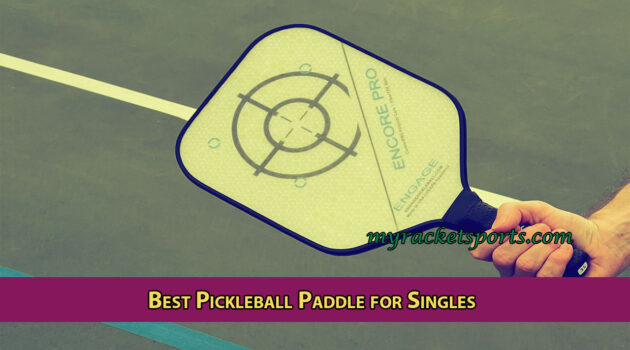 Best Pickleball Paddle for Singles for Beginners