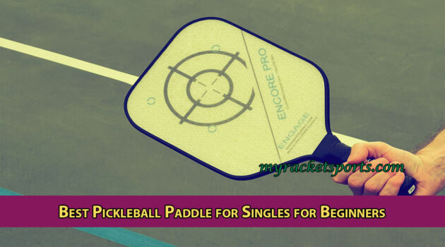 Best Pickleball Paddle for Singles for Beginners