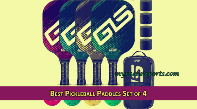 Best Pickleball Paddles Set of 4