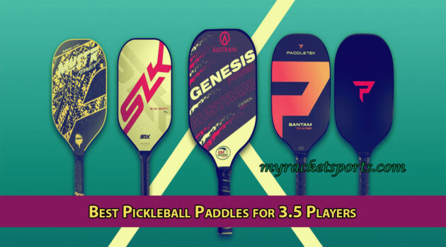 Best Pickleball Paddles for 3.5 Players