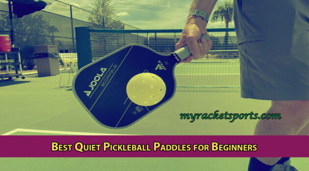 Best Quiet Pickleball Paddles for Beginners
