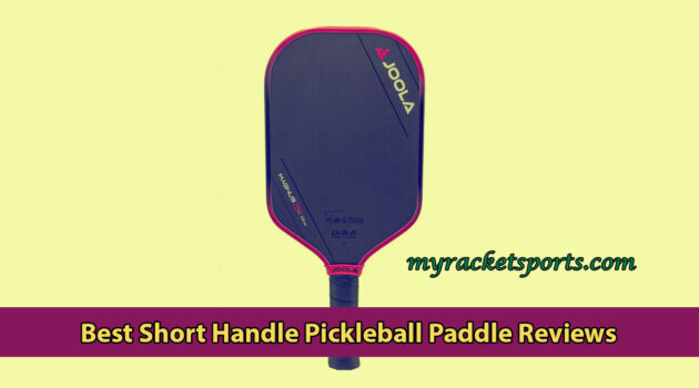 Best Short Handle Pickleball Paddle Reviews
