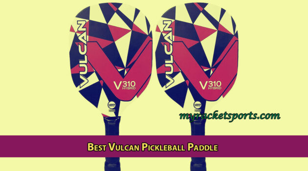 Best Vulcan Pickleball Paddle for Beginners