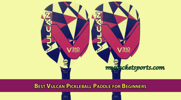 Best Vulcan Pickleball Paddle for Beginners