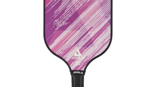 Joola Journey Pickleball Paddle Review