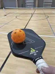 Joola Vision Pickleball Paddle Review Joola Vision Pickleball Paddle Review