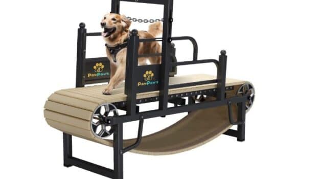 Best Slat Treadmill for Home