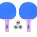 best butterfly ping pong paddle